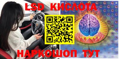 крисы Гагарин