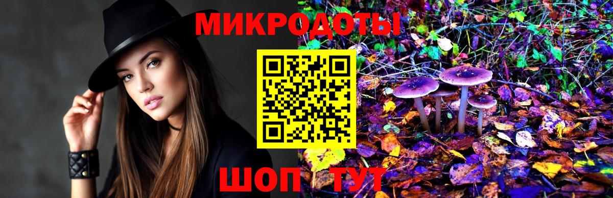 Батайск  Псилоцибиновые грибы Cubensis  Вход с VPN  Псилоцибиновые грибы мухоморы 