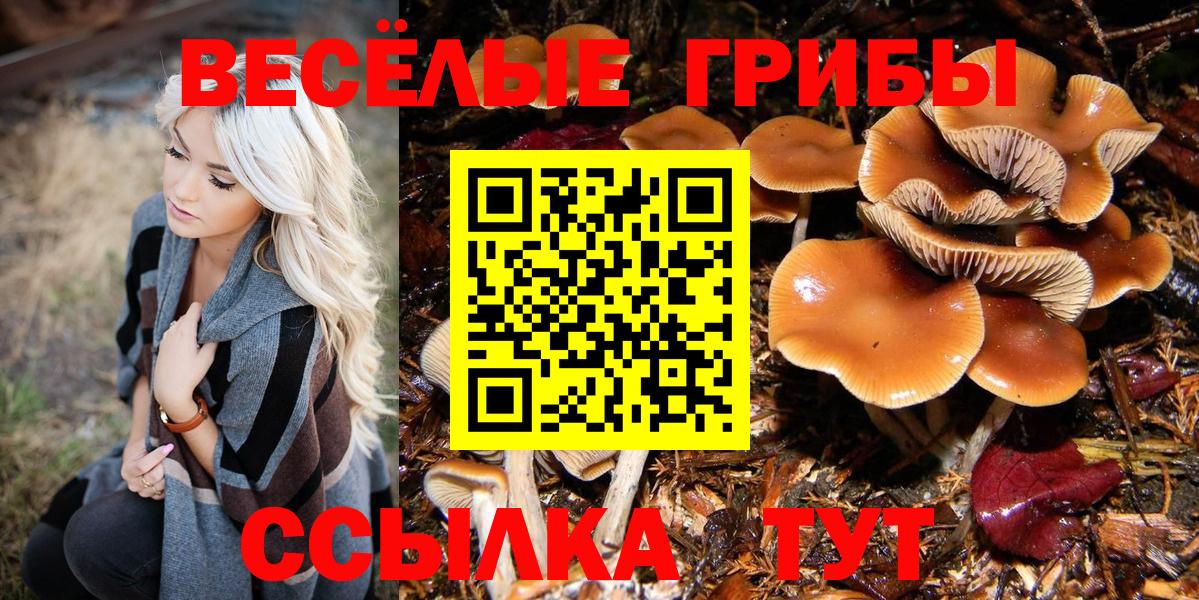 Галлюциногенные грибы мухоморы Батайск